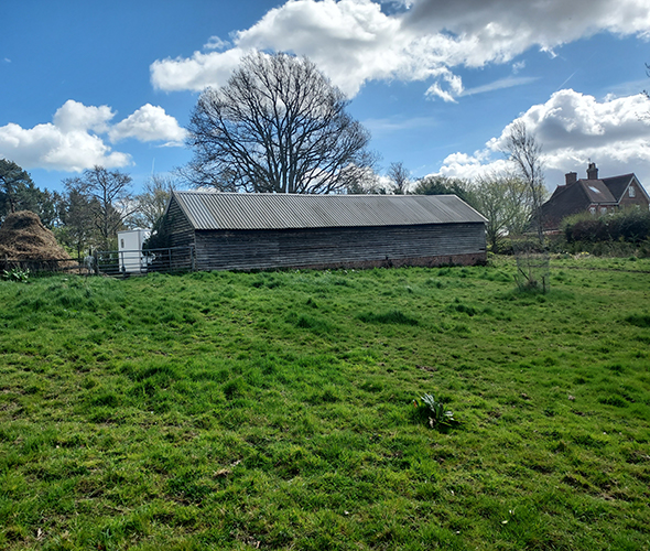 weald1 Disused chiken shed