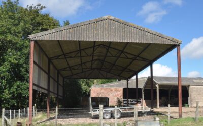 Were you born in a barn?