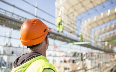 Backyard Battles – not in mine!